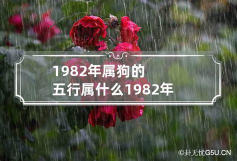 1982屬什麼|82年属什么 1982年五行属什么